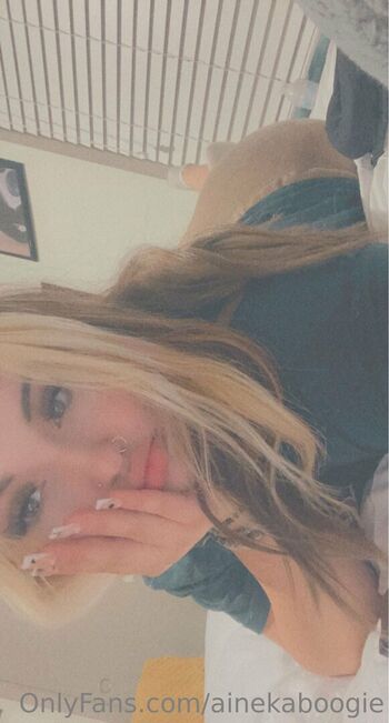 ainekaboogie