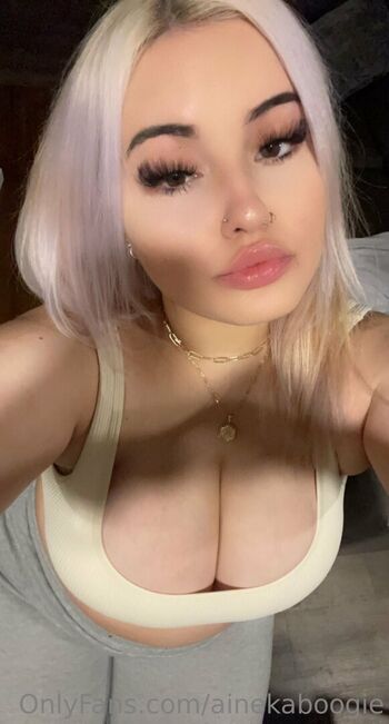 ainekaboogie
