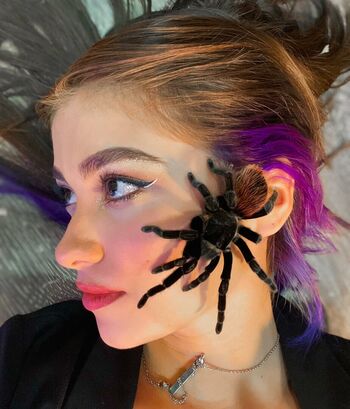 alexmidiaz