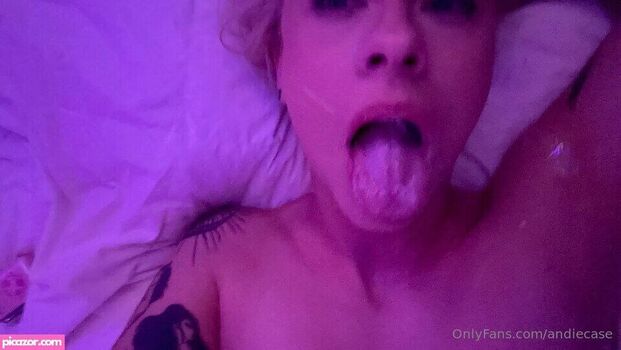 Andiecase