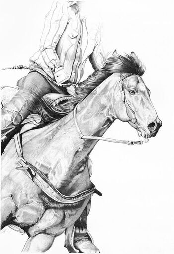 Full leaked Barrelracer private onlyfans photo