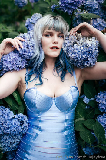 Bluejay