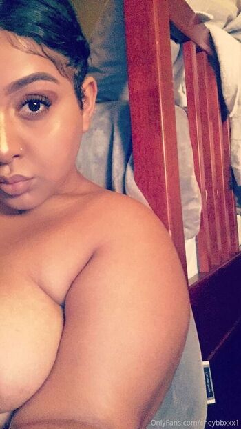 brattybbw