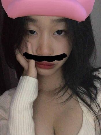 bunny.dqui