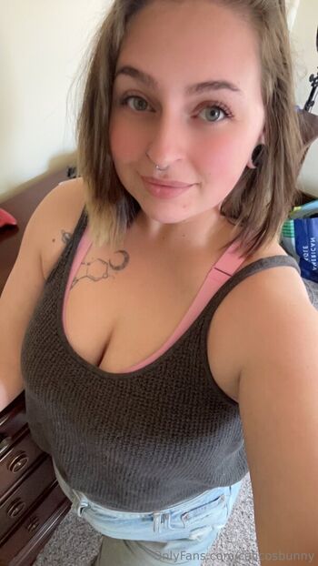 calicosbunny