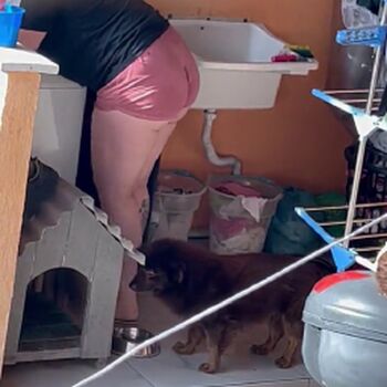 Candid Brasil