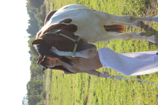 Cristine