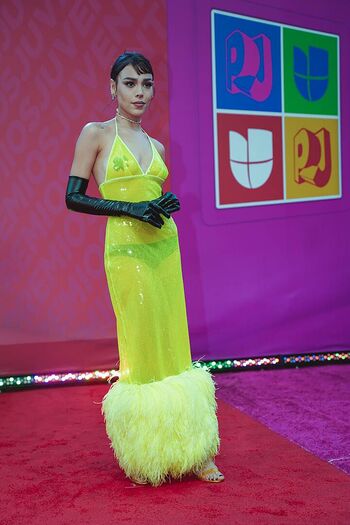 Dannapaola