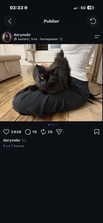 Darynebr
