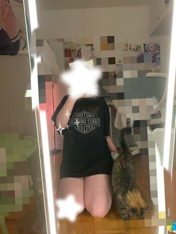 denpafish