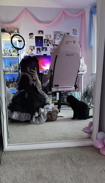 Digitalkatt