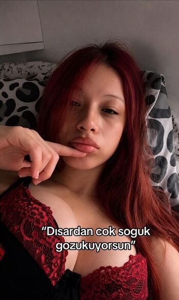 DilanurApaydn