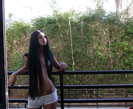 dreambabydrea