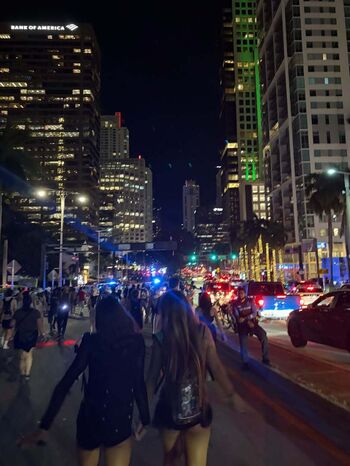 Ella Friedland