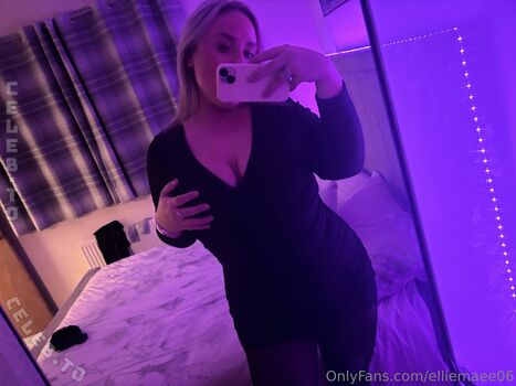 elliemae_vip