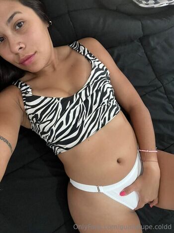 guadalupe.coldd