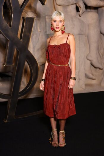 Iris Law