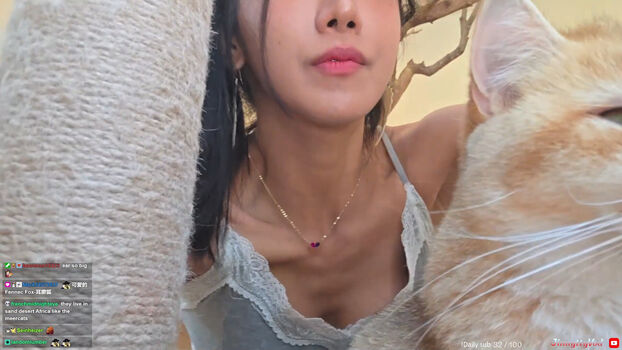 jinnytty