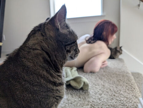 kitty_bit_games