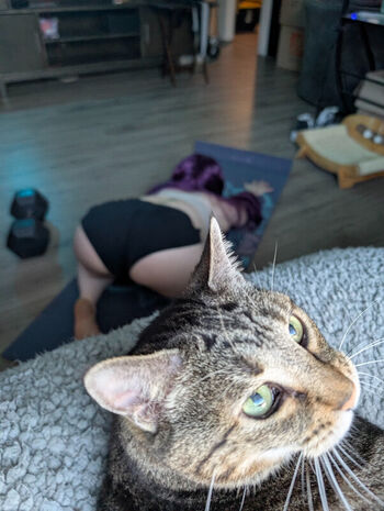 kitty_bit_games