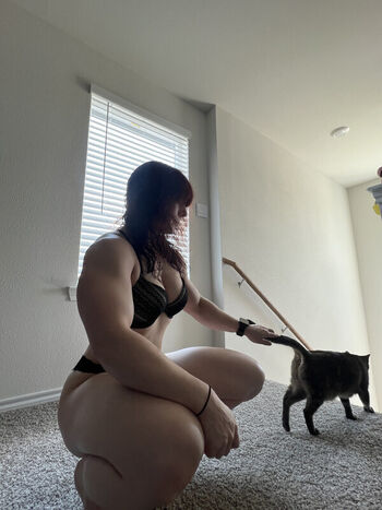 Kittybit