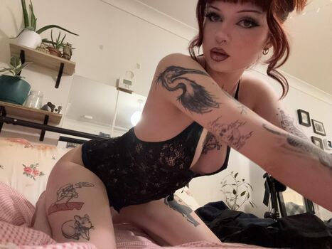 kittycat473