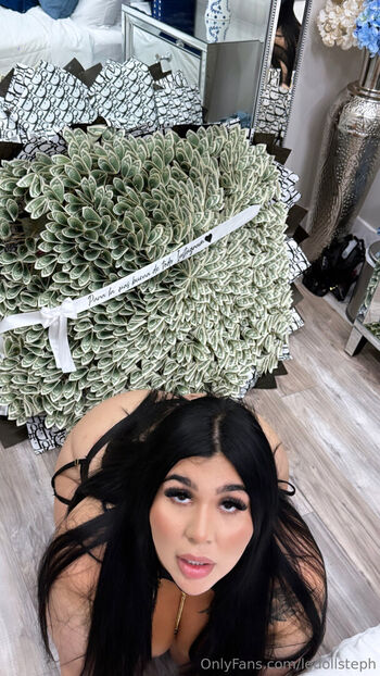 ledollsteph