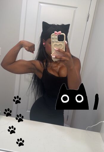 Lilrawrs