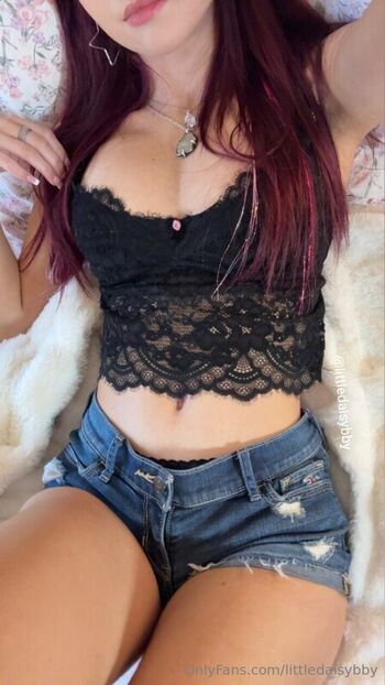 littledaisybby