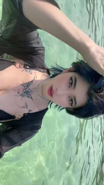 Mel04liner