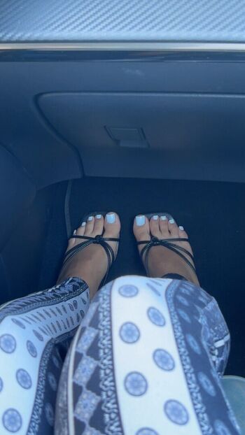 melodi.mzd