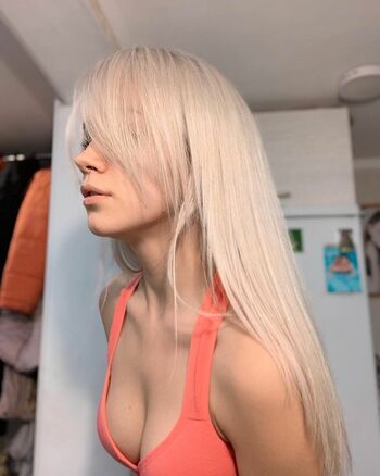 Model_anuta