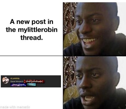 mylittlerobin