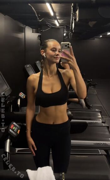 Nicola Cavanis