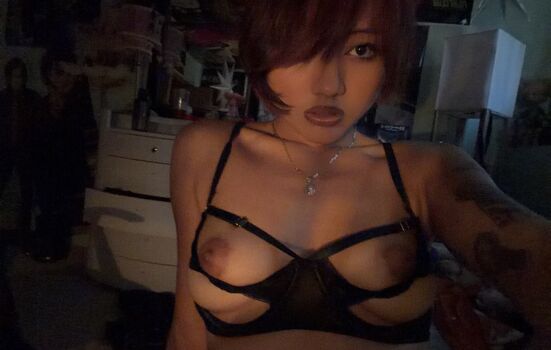 nomamesnico