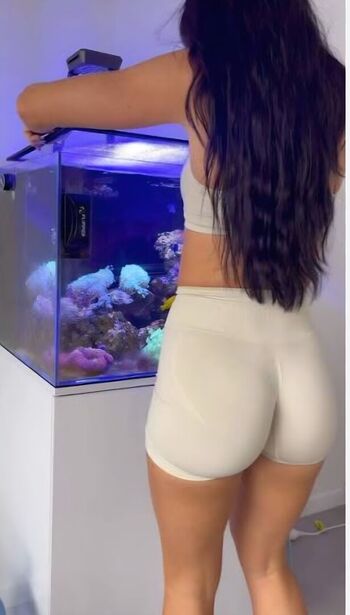Only.fish444