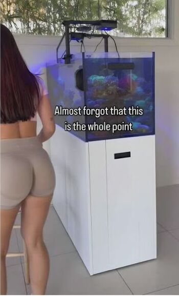 Only.fish444