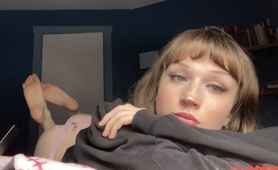 phoebefawn
