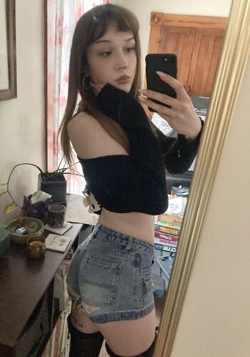 phoebefawn