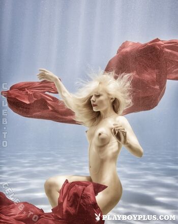 Playboy Plus