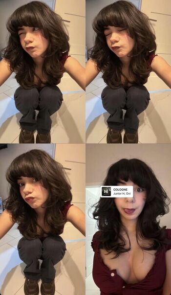 porkpopsan