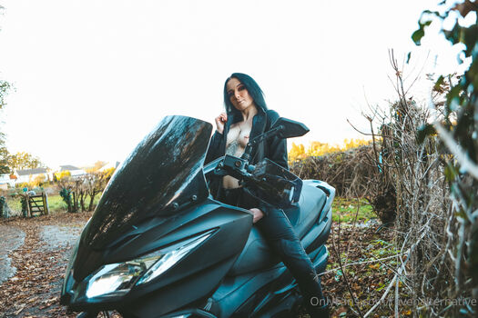 raven_alternative