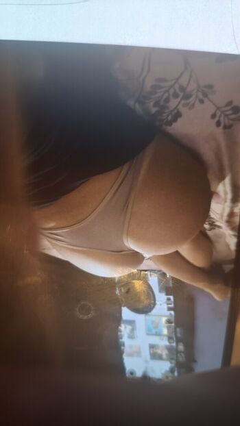 Sami boveda