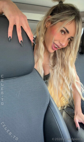 Sandylein