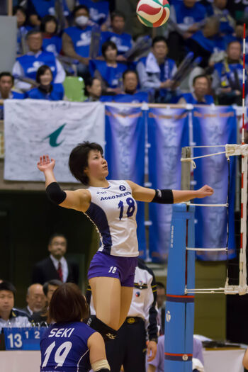 Shiho Yoshimura