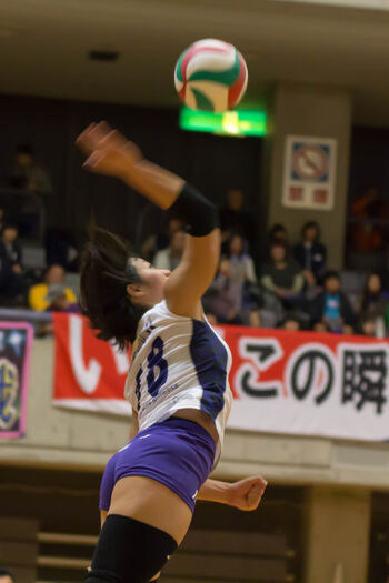 Shiho Yoshimura