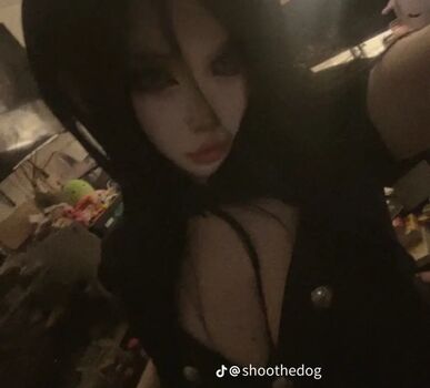 Shoothedogs
