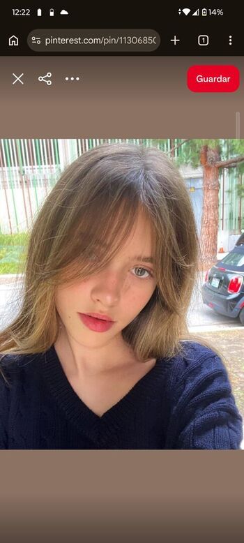 Sofiasee