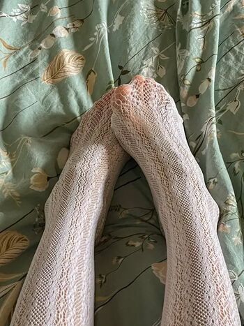 soft_animal