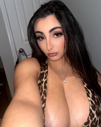 Stassiehtx